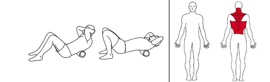 Illustrasjons bilde av trening bryst, rygg med foamroller