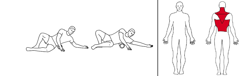 Illustrasjons bilde av trening utside rygg med foamroller