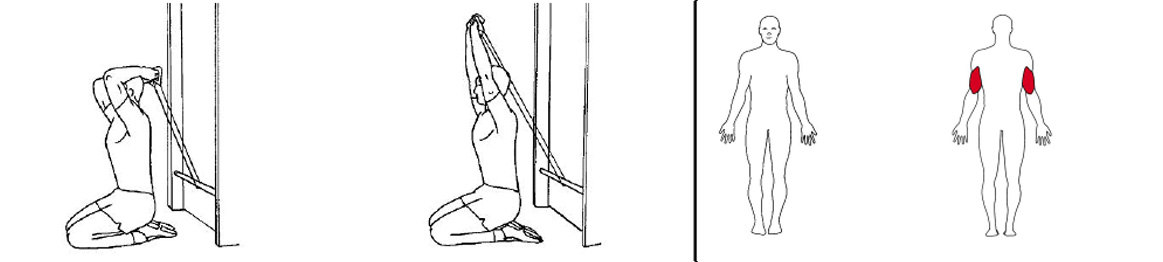 Illustrasjonsbilde av utførelse av knesittende triceps press m/strikk