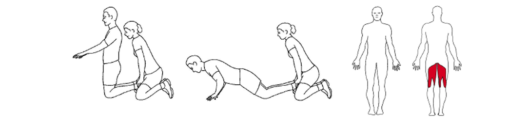 Illustrasjon av nordic hamstring øvelse